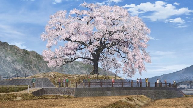 春の一本桜